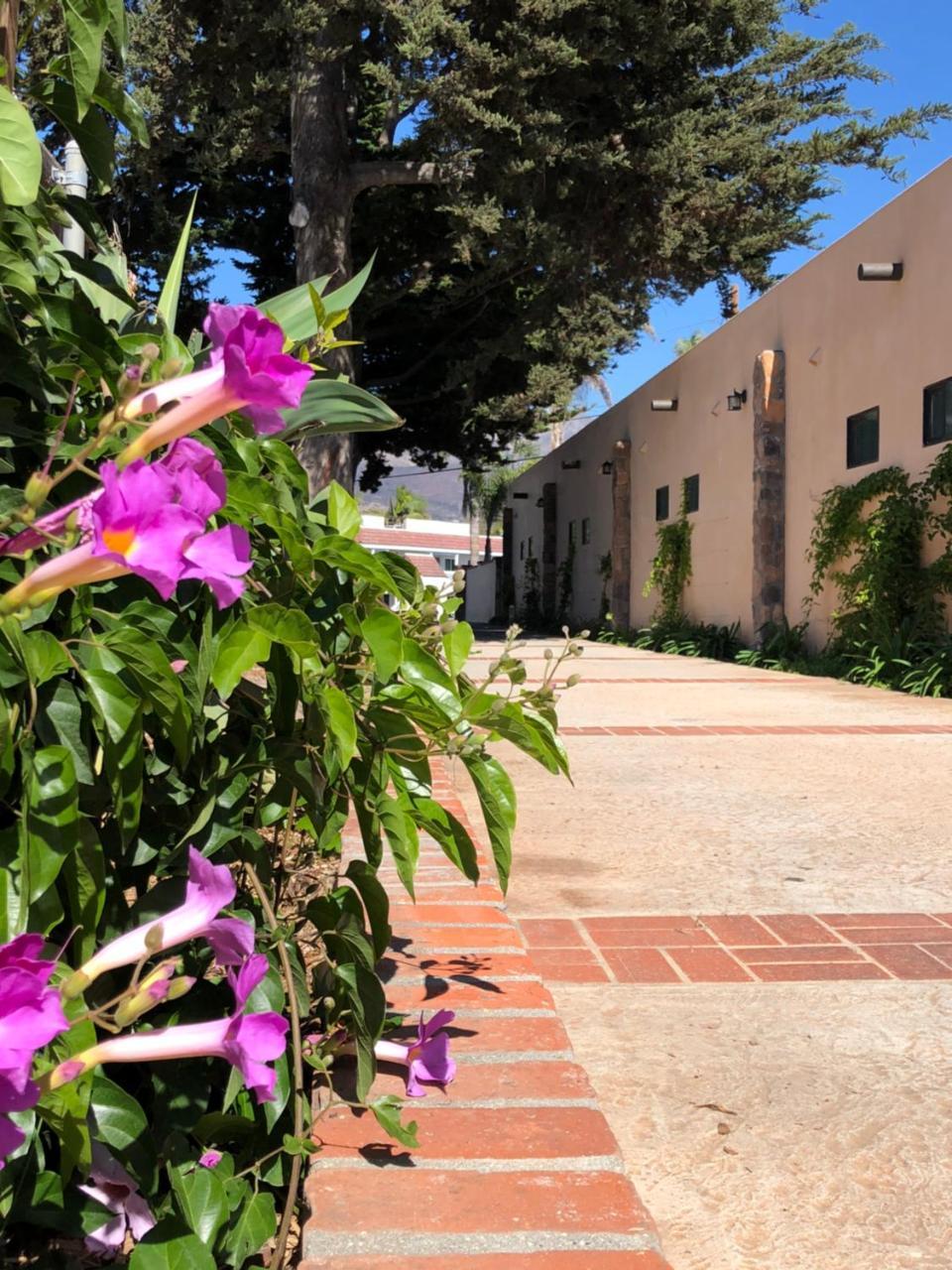 Casa Del Sol Hotel Carpinteria Exterior photo